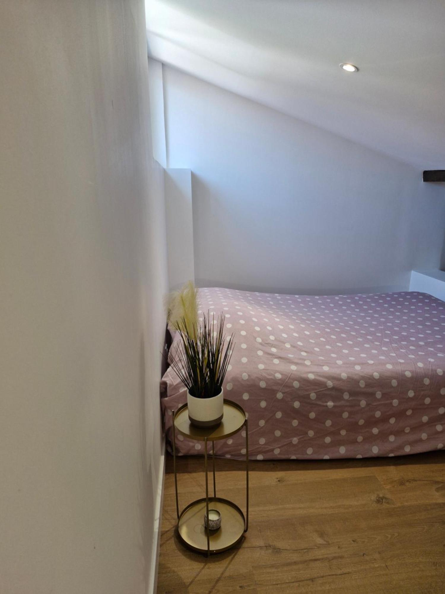 Le Duplex Toulousain *